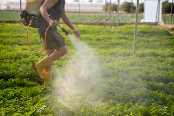 Best Best Pest Control Companies  in Santa Fe, TX