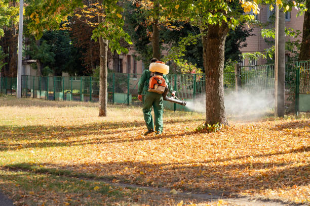 Professional Pest Control in Santa Fe, TX